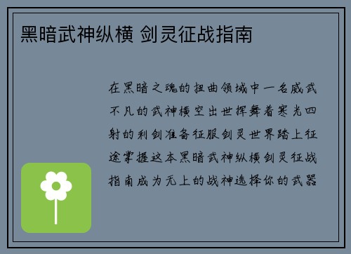 黑暗武神纵横 剑灵征战指南